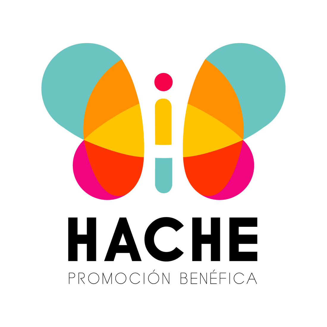 logo HACHE mariposa colores